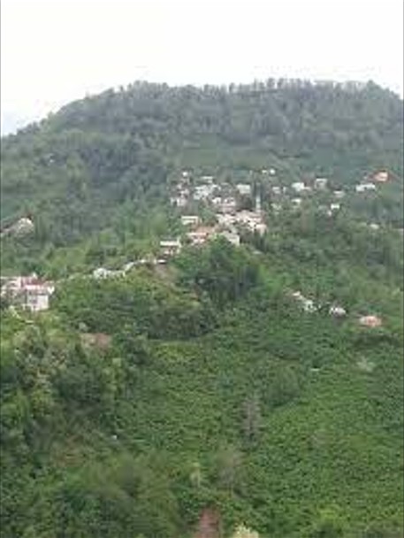 GİRESUN GÖRELE ESENYURT KÖYÜNDE 138M² FINDIK BAHÇEMİZ SATILIKTIR - GİRESUN GÖRELE fotoğraf 8